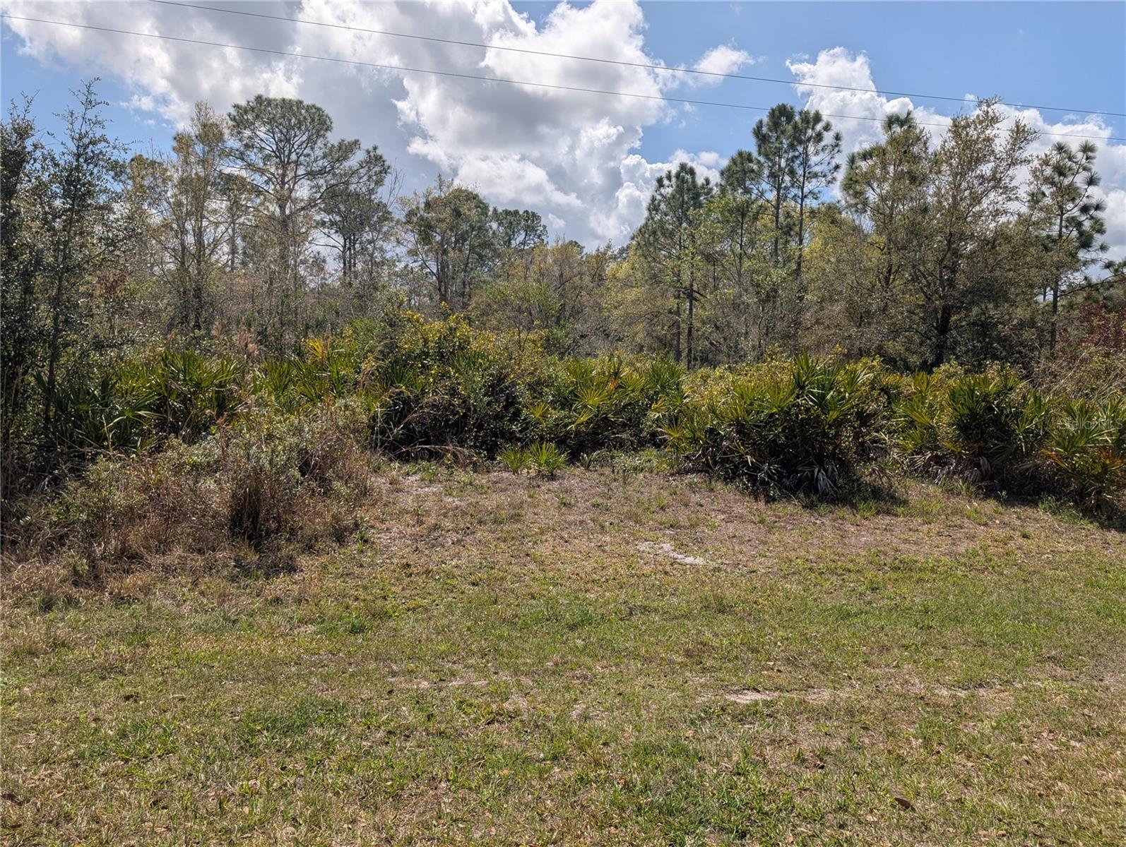 817 POINCIANA DR