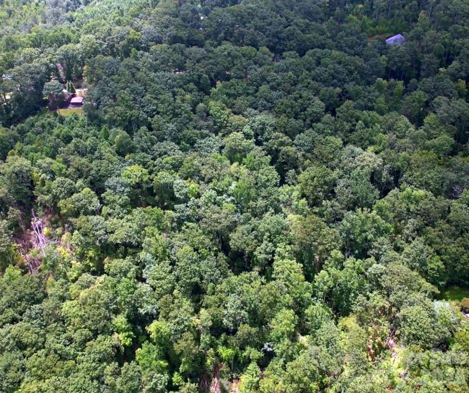 Lot at 13 Old Mill Road, Hendersonville, photo 3 of 6