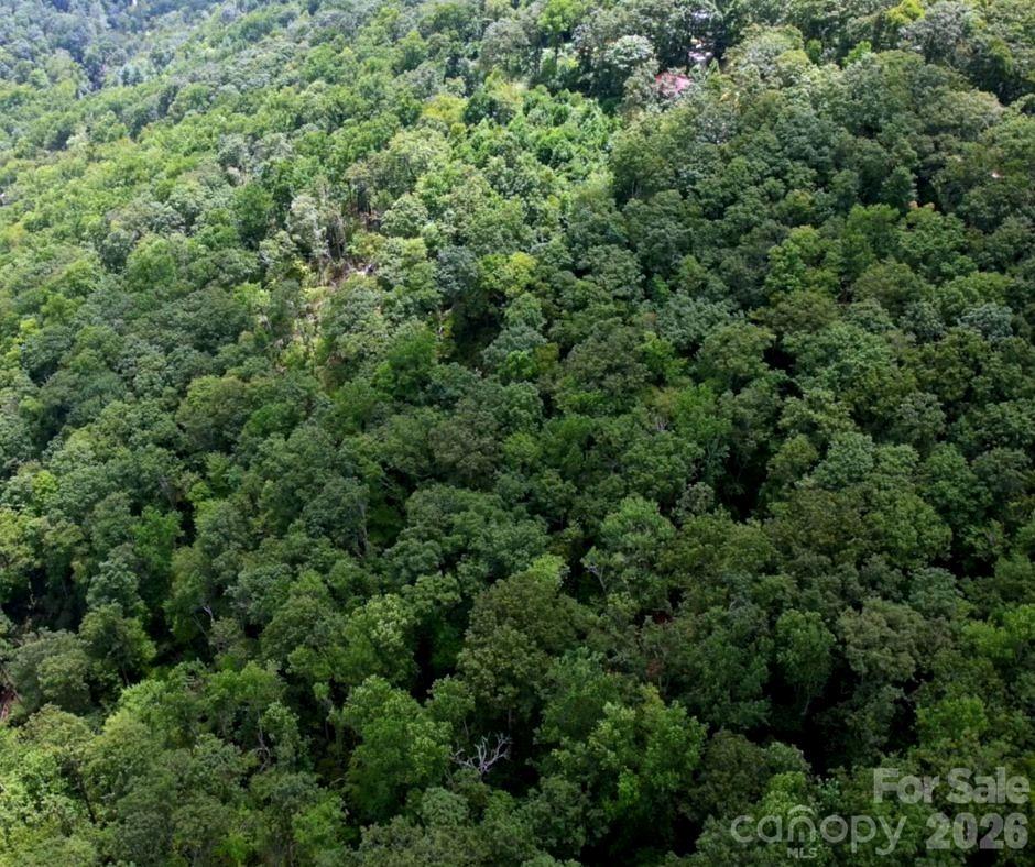Lot at 13 Old Mill Road, Hendersonville, photo 6 of 6