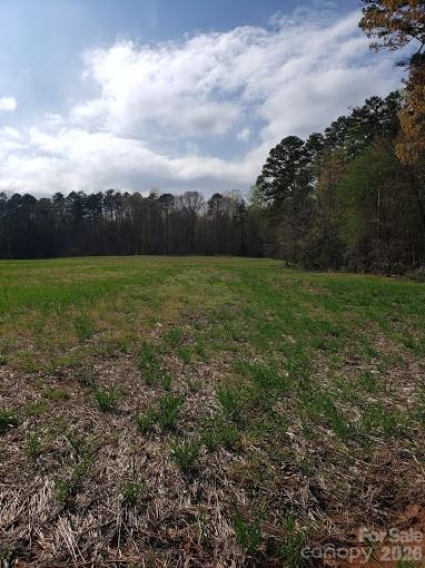 Acreage at 0 Deal Road, Mooresville, photo 8 of 45