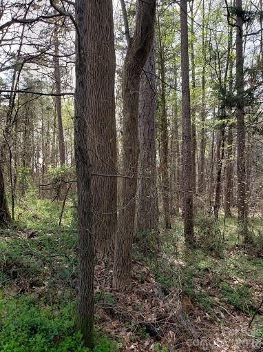 Acreage at 0 Deal Road, Mooresville, photo 15 of 45
