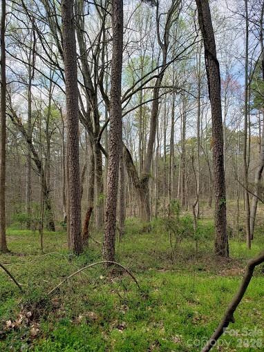 Acreage at 0 Deal Road, Mooresville, photo 17 of 45