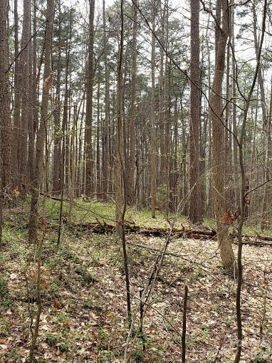 Acreage at 0 Deal Road, Mooresville, photo 19 of 45