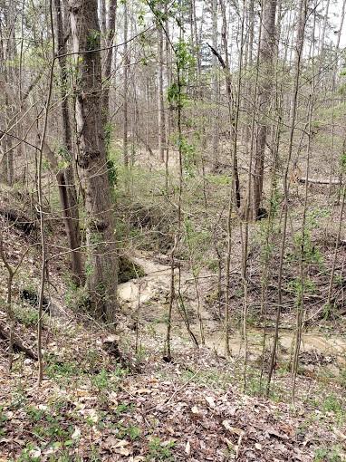 Acreage at 0 Deal Road, Mooresville, photo 20 of 45
