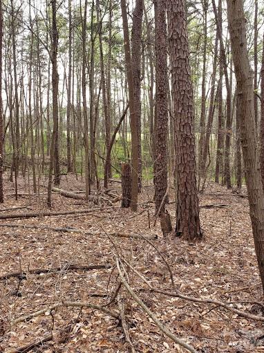 Acreage at 0 Deal Road, Mooresville, photo 21 of 45