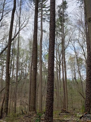 Acreage at 0 Deal Road, Mooresville, photo 22 of 45