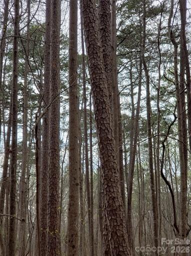 Acreage at 0 Deal Road, Mooresville, photo 25 of 45