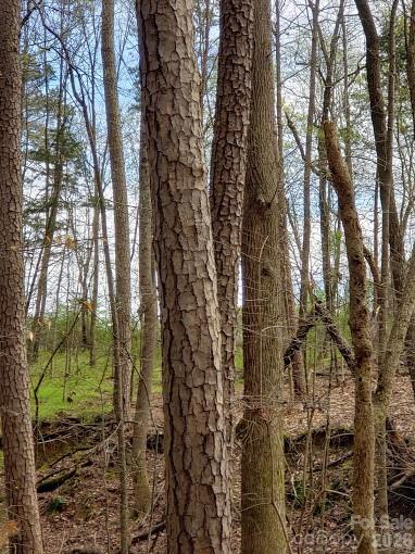 Acreage at 0 Deal Road, Mooresville, photo 28 of 45