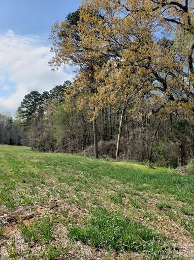 Acreage at 0 Deal Road, Mooresville, photo 33 of 45