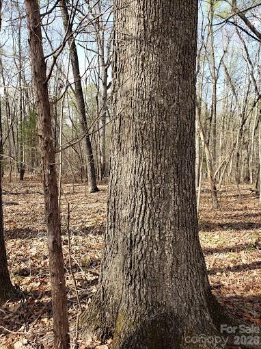 Acreage at 0 Deal Road, Mooresville, photo 34 of 45