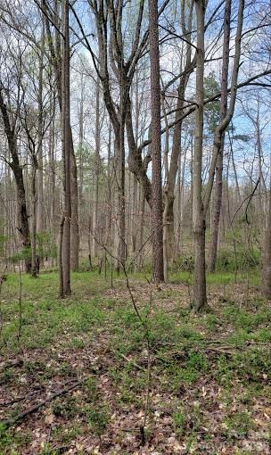 Acreage at 0 Deal Road, Mooresville, photo 38 of 45