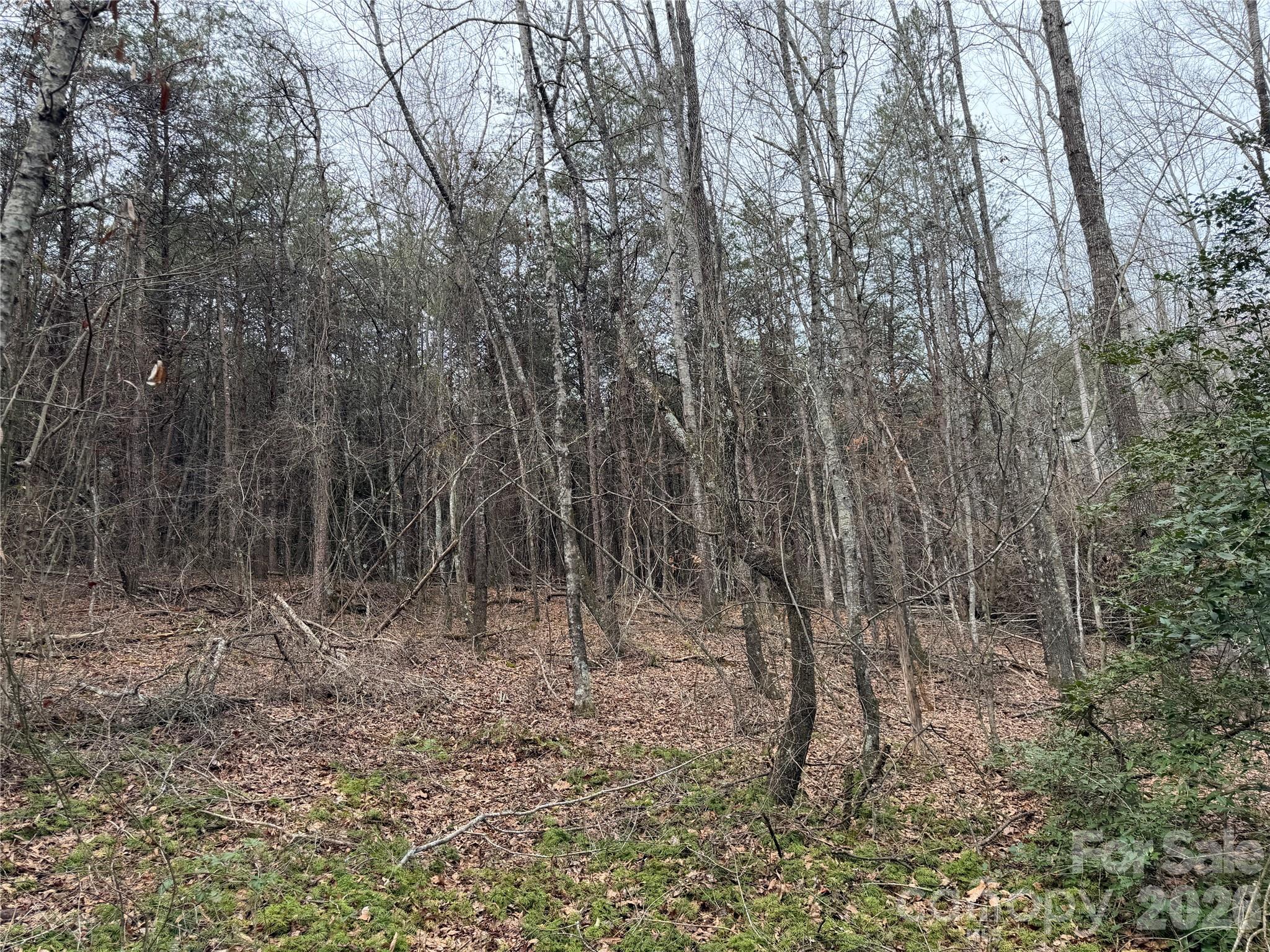 Acreage at 2431 Camp Creek Church Road, Mooresboro, photo 4 of 12