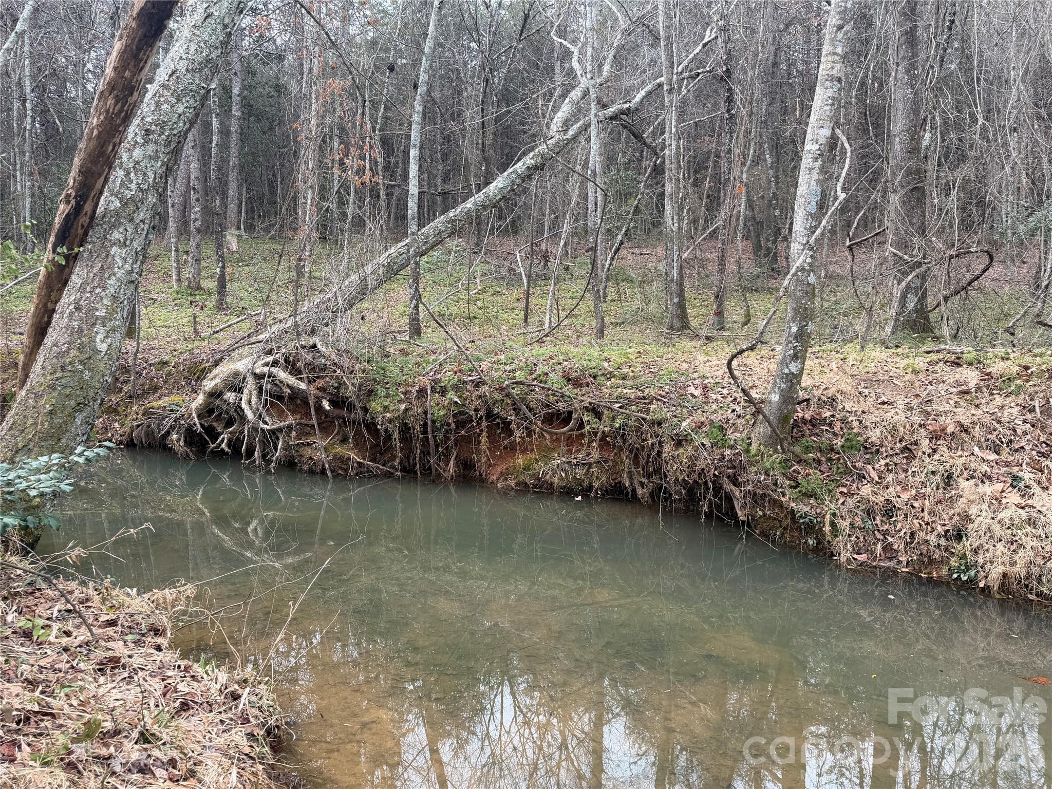 Acreage at 2431 Camp Creek Church Road, Mooresboro, photo 7 of 12