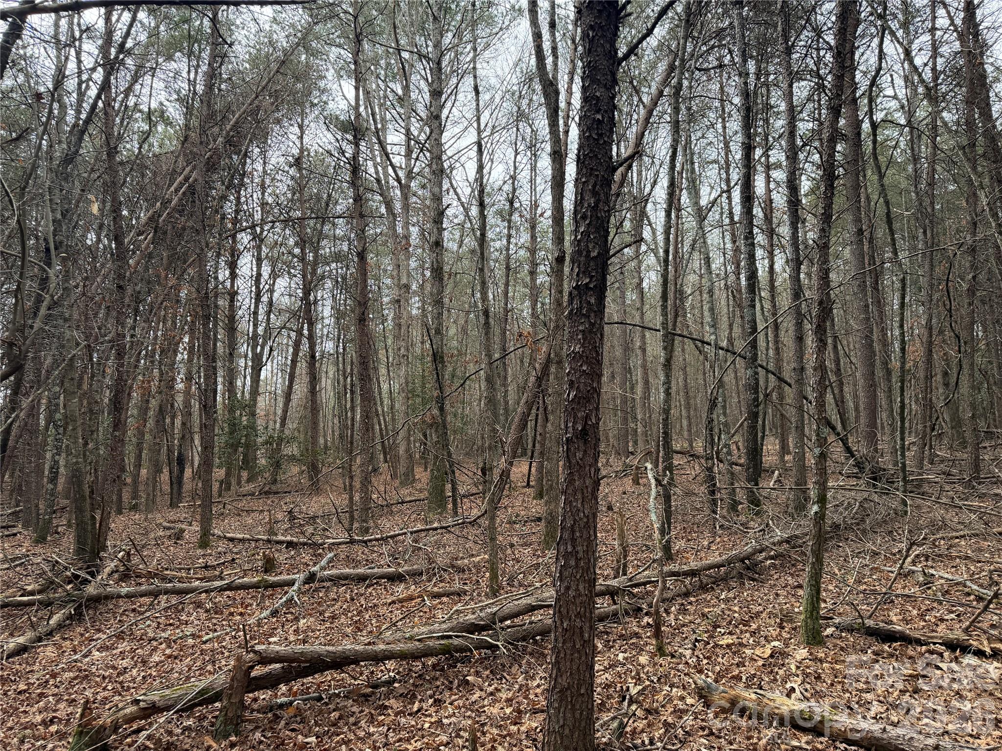 Acreage at 2431 Camp Creek Church Road, Mooresboro, photo 10 of 12