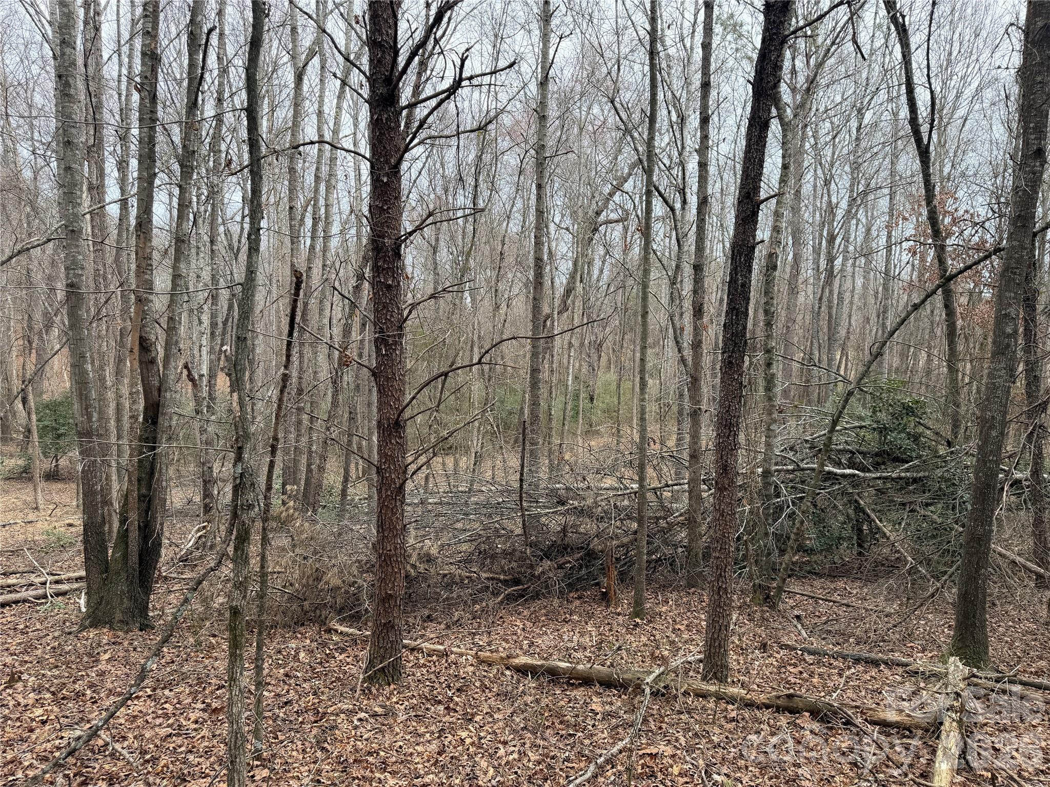 Acreage at 2431 Camp Creek Church Road, Mooresboro, photo 11 of 12