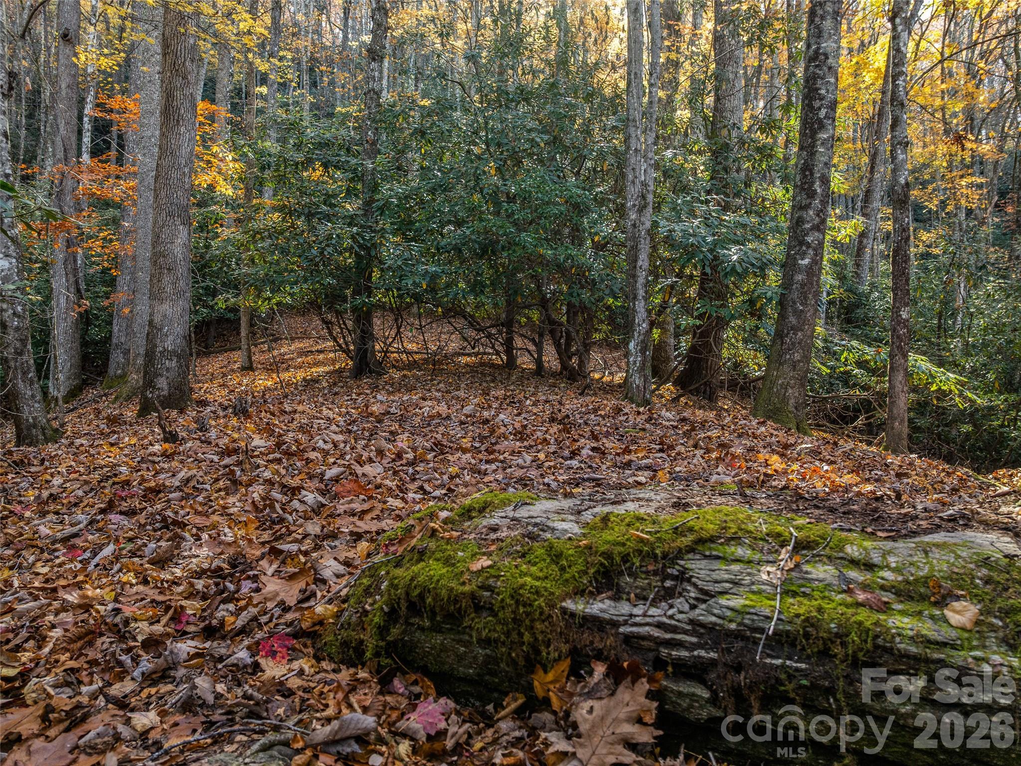 Lot at 241 Skye Drive, Pisgah Forest, photo 3 of 26