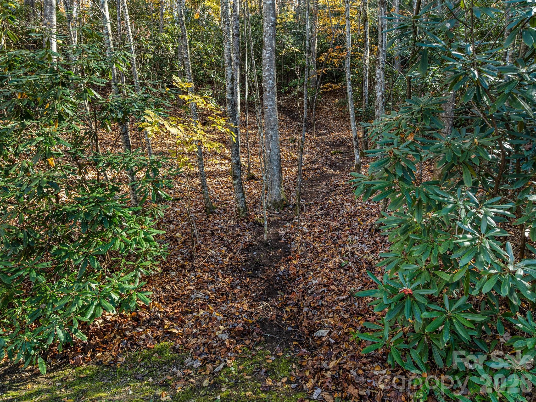 Lot at 241 Skye Drive, Pisgah Forest, photo 5 of 26