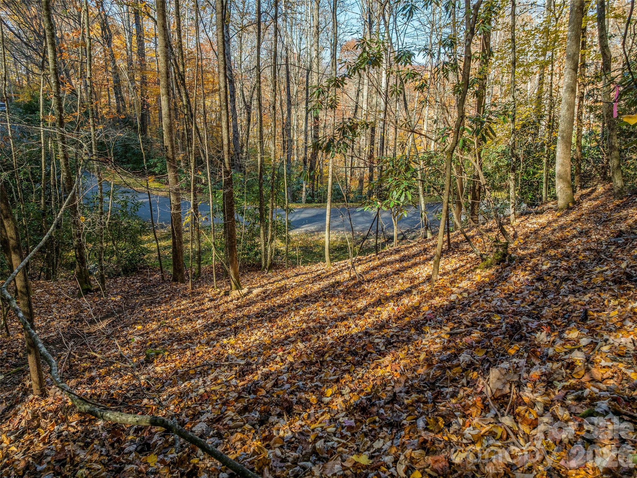 Lot at 241 Skye Drive, Pisgah Forest, photo 9 of 26