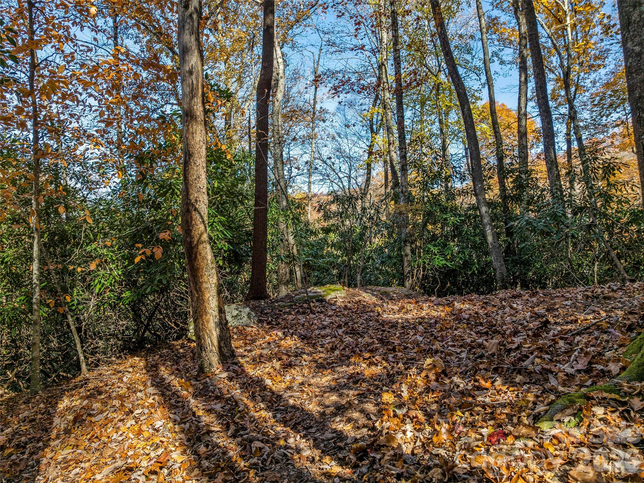 Lot at 241 Skye Drive, Pisgah Forest, photo 11 of 26
