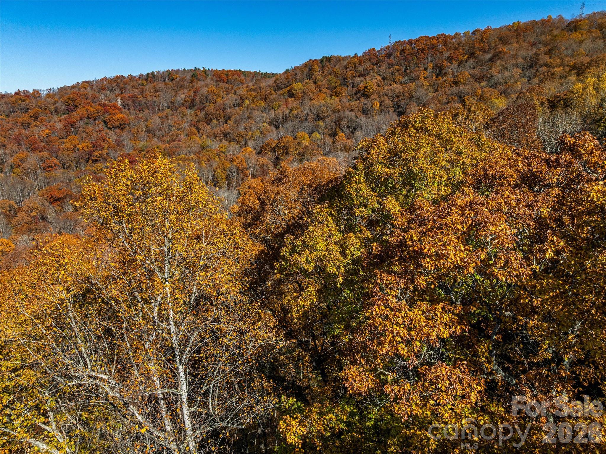 Lot at 241 Skye Drive, Pisgah Forest, photo 19 of 26