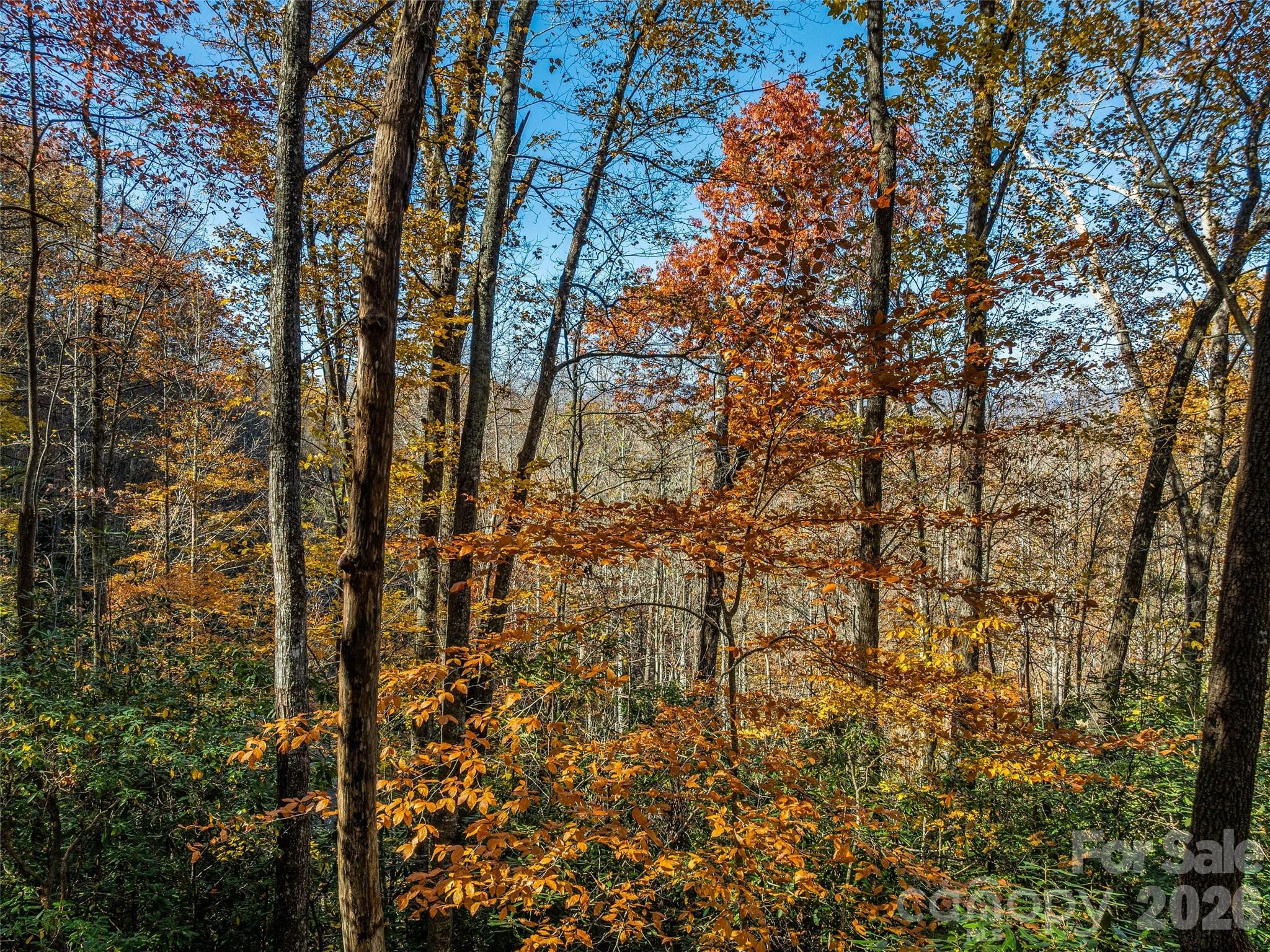 Lot at 241 Skye Drive, Pisgah Forest, photo 23 of 26