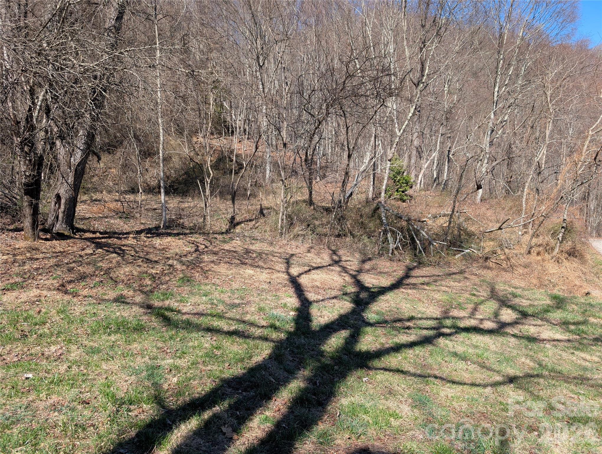 Acreage at 00 Bear Wallow Trail, Canton, photo 13 of 17