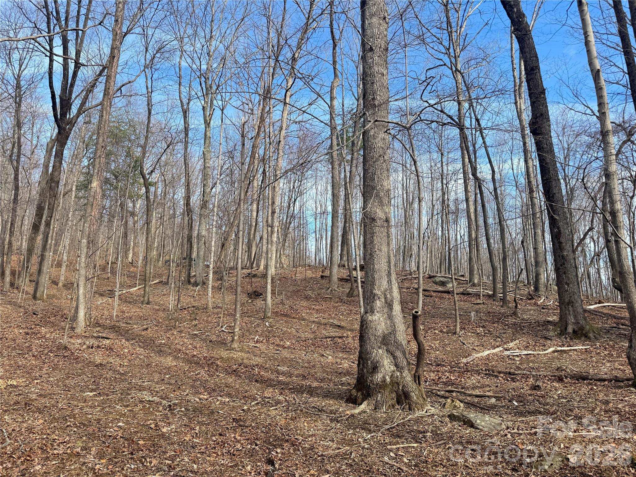 Lot at 99999 Chesterfield Drive, Mill Spring, photo 2 of 14