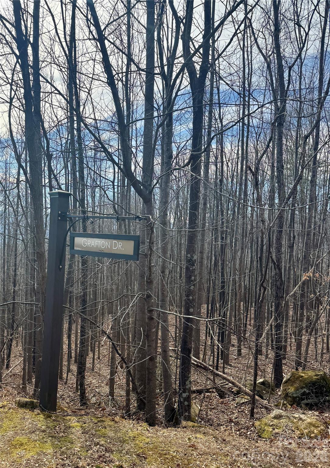 Lot at 99999 Chesterfield Drive, Mill Spring, photo 8 of 14