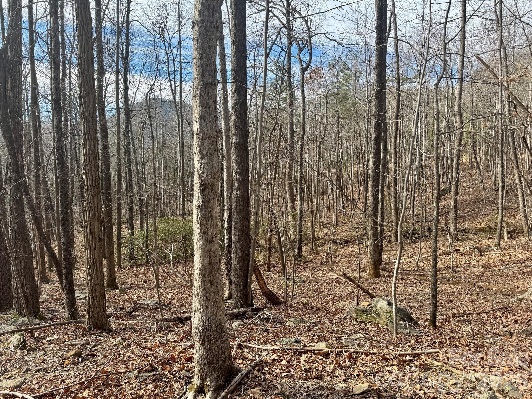 Lot at 99999 Chesterfield Drive, Mill Spring, photo 9 of 14