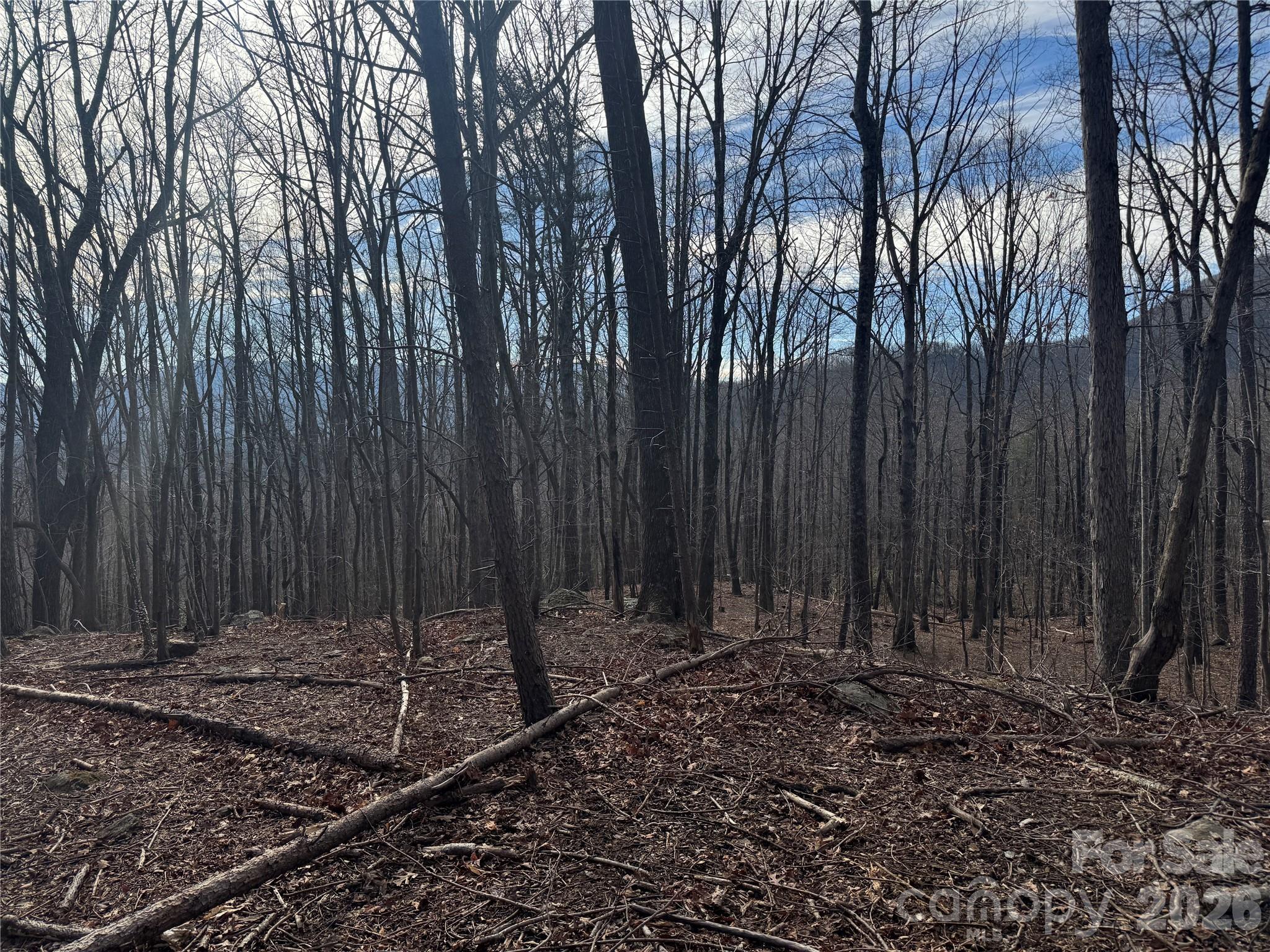 Lot at 99999 Chesterfield Drive, Mill Spring, photo 10 of 14
