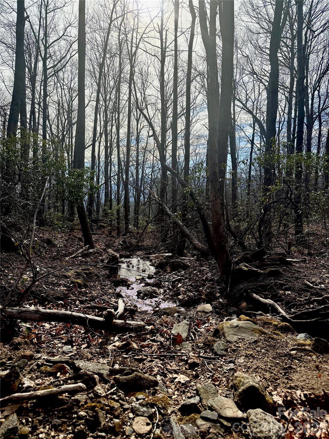 Creek bordering Property - 99999 Chesterfield Drive, Mill Spring