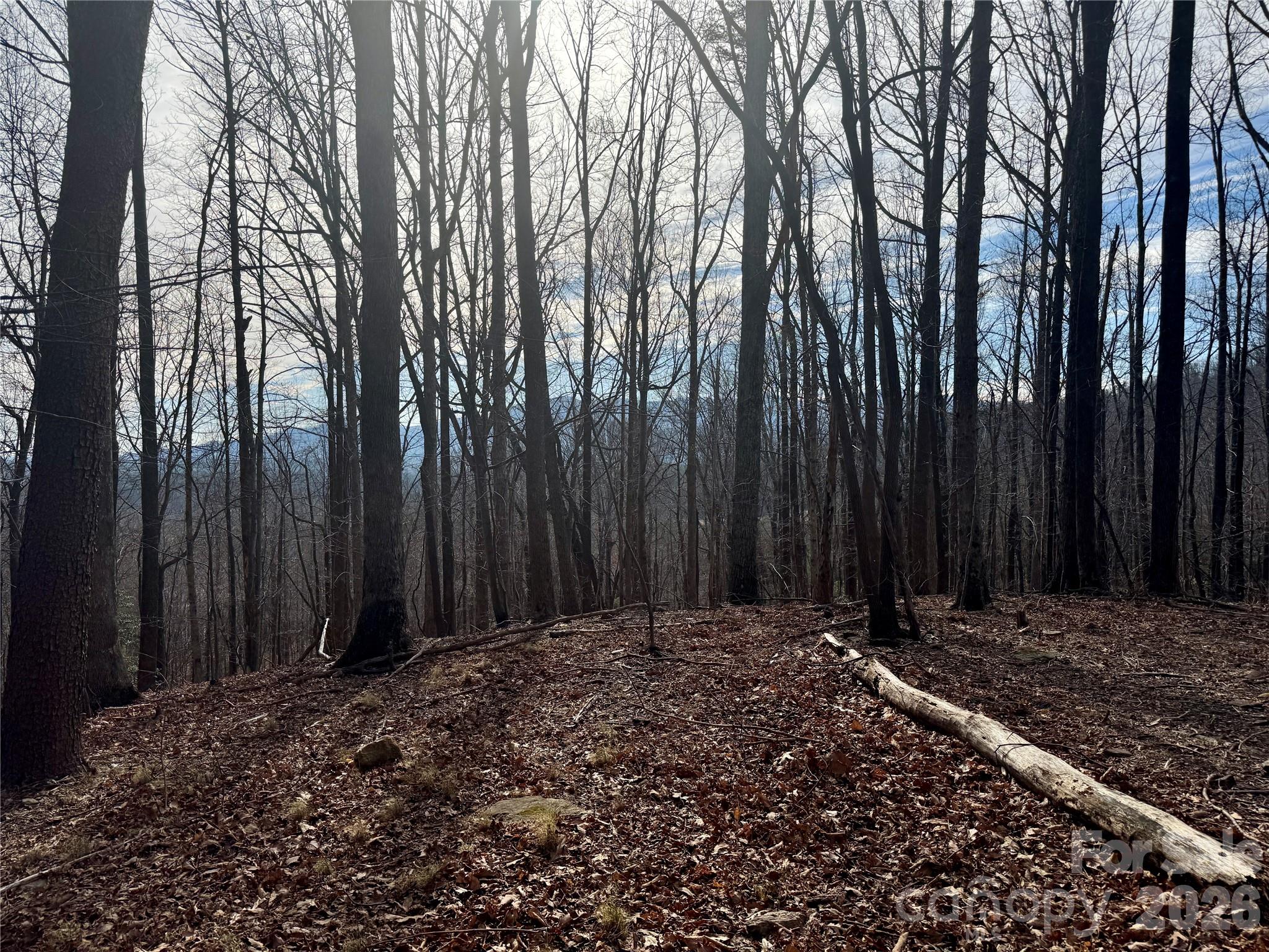 Lot at 99999 Chesterfield Drive, Mill Spring, photo 12 of 14