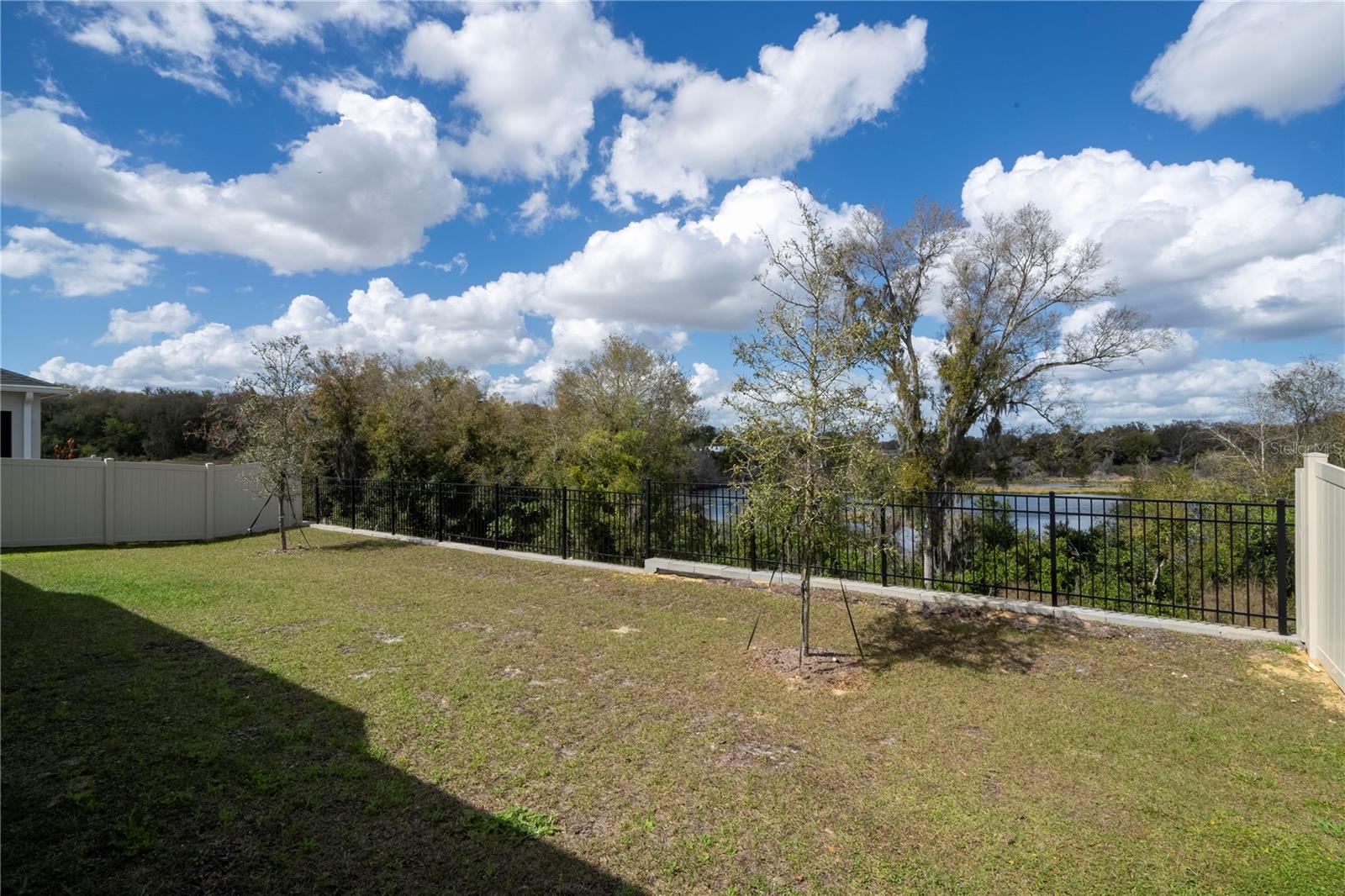 Single Family Residence at 734 CREEPING FIG ST, APOPKA, photo 60 of 82