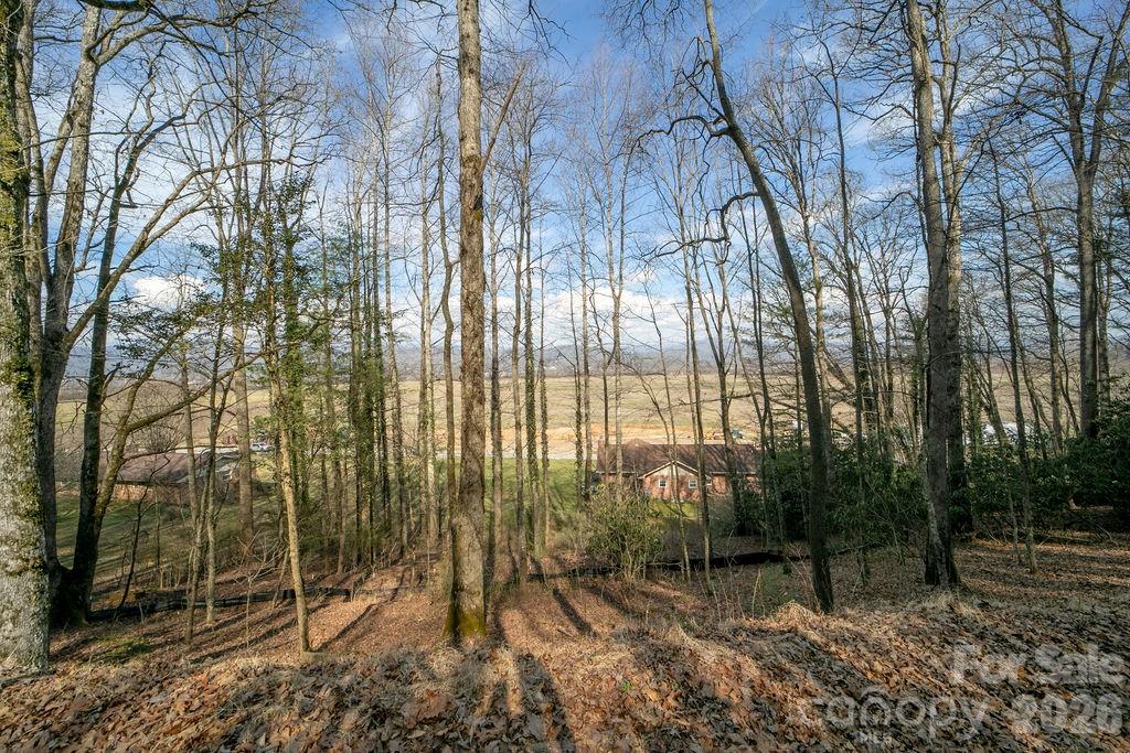 Lot at Lot 4-R Middlemount Road, Pisgah Forest, photo 2 of 12