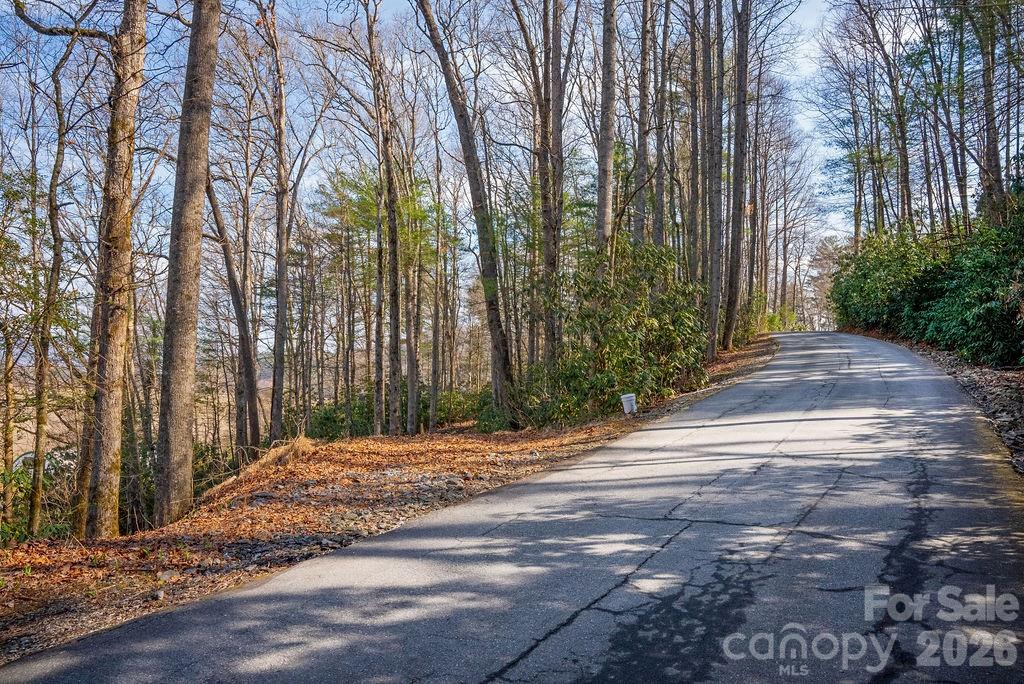 Lot at Lot 4-R Middlemount Road, Pisgah Forest, photo 4 of 12