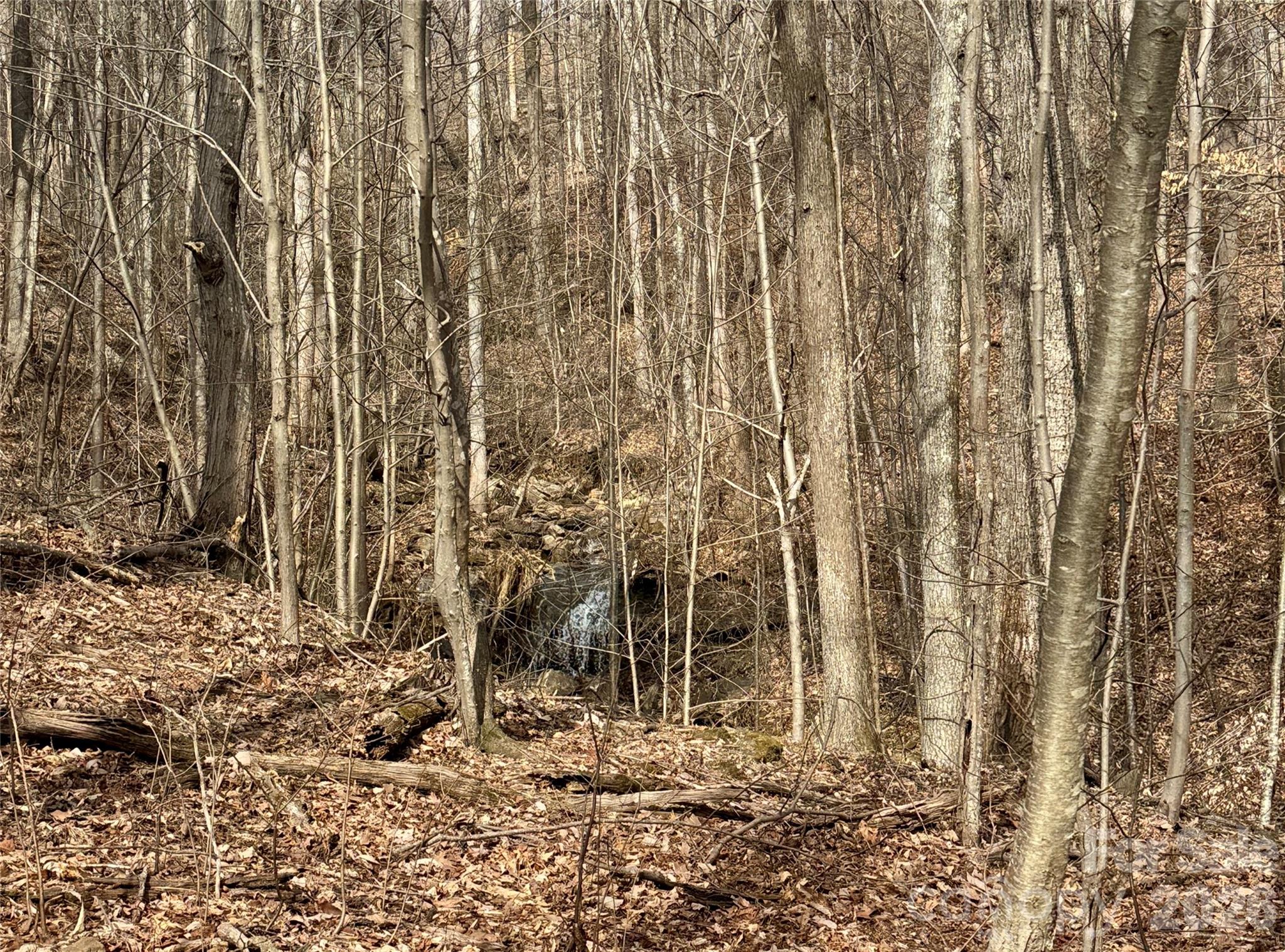 Waterfall (on community shared property) adjoins lot. - 99999 Chesterfield Drive, Mill Spring