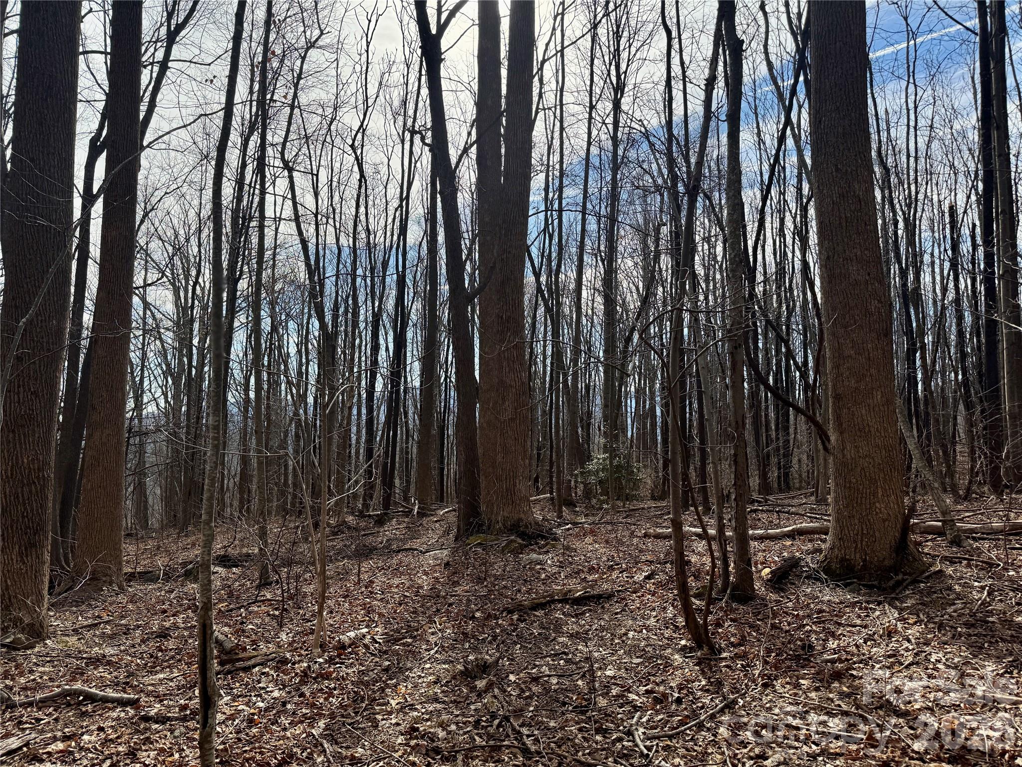Lot at 99999 Chesterfield Drive, Mill Spring, photo 4 of 13