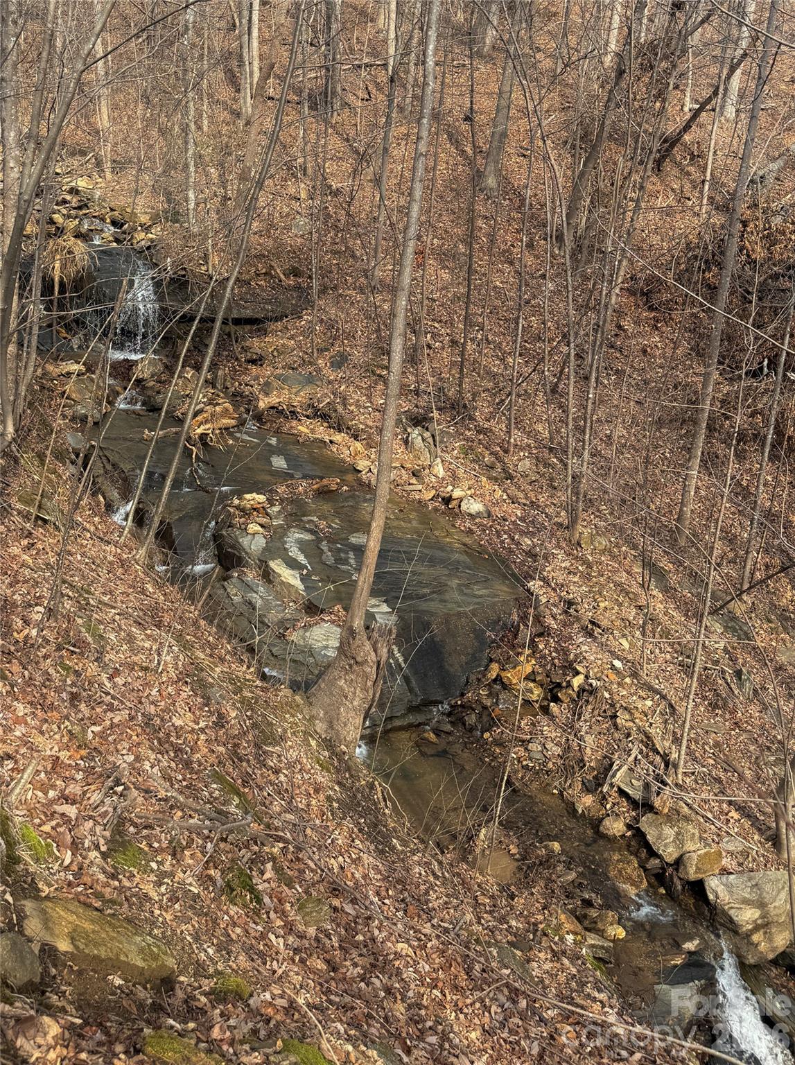 Property abuts beautiful waterfall - 99999 Chesterfield Drive, Mill Spring