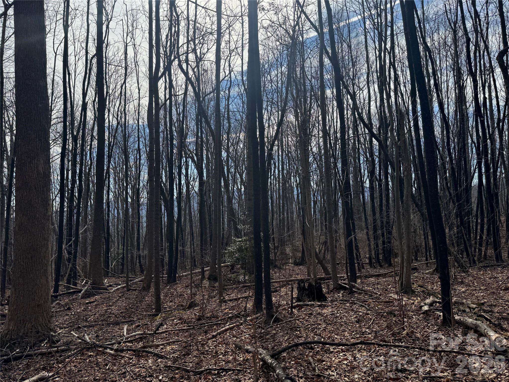 Lot at 99999 Chesterfield Drive, Mill Spring, photo 6 of 13
