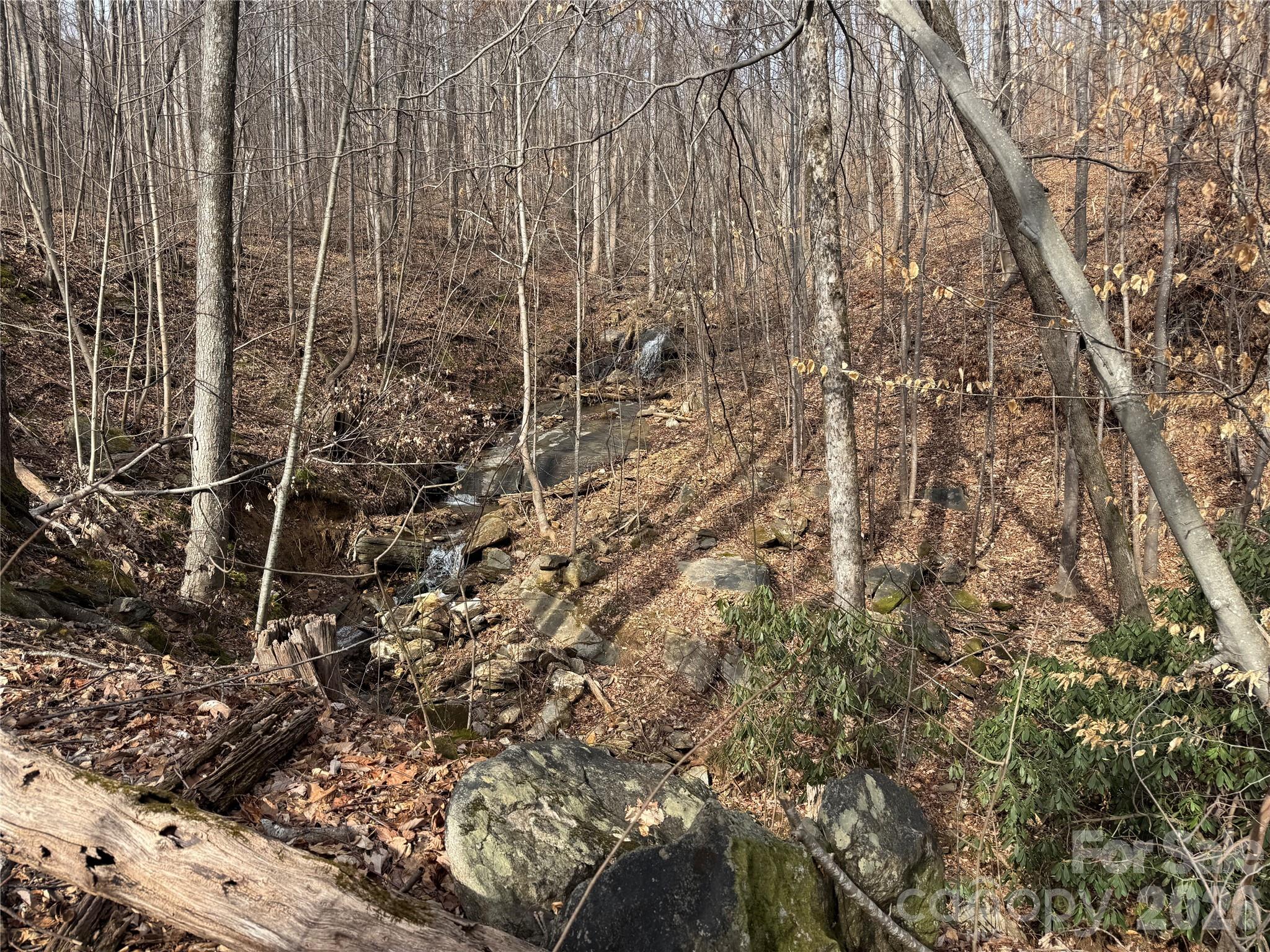 Lot at 99999 Chesterfield Drive, Mill Spring, photo 7 of 13