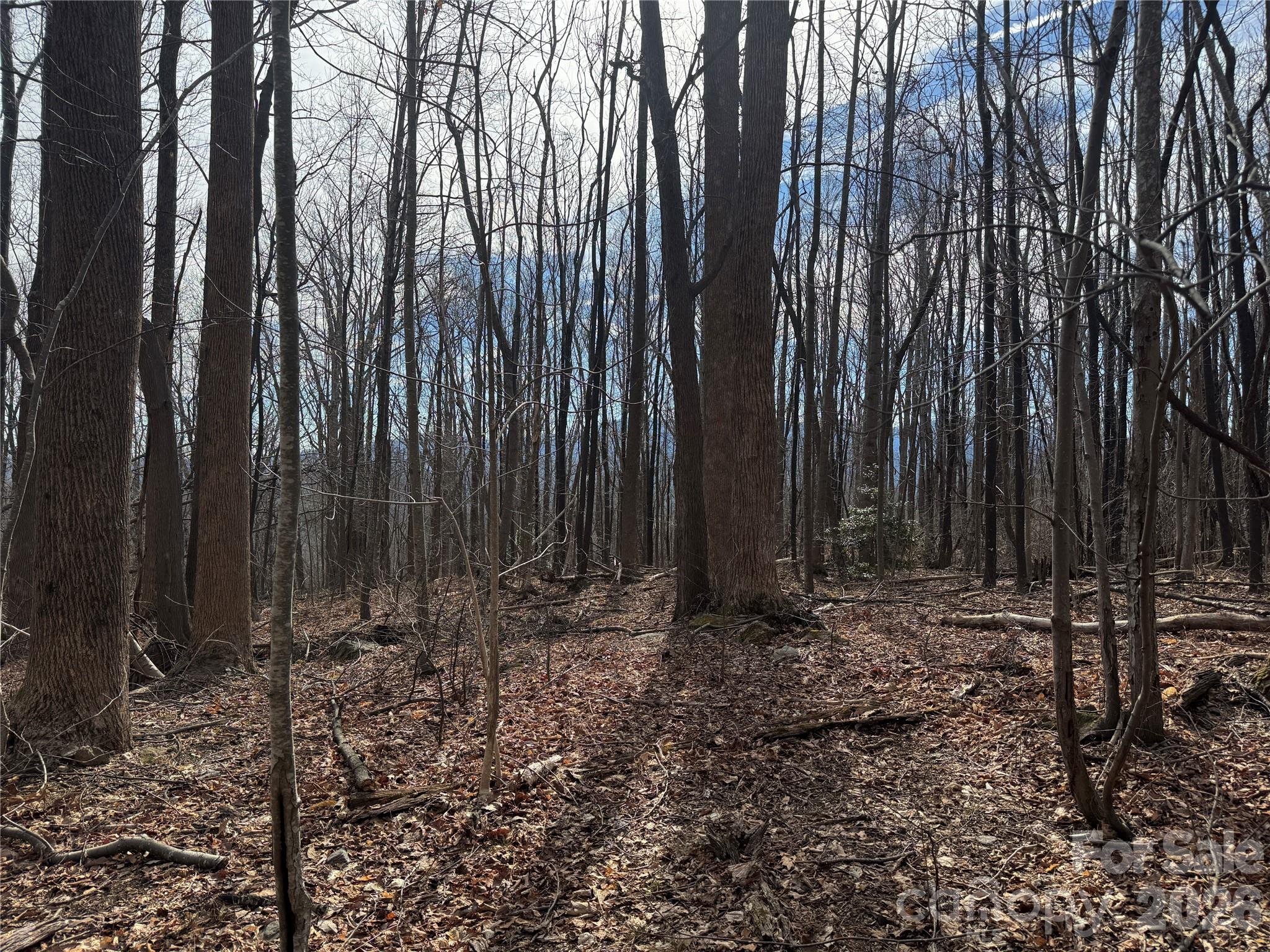 Lot at 99999 Chesterfield Drive, Mill Spring, photo 8 of 13