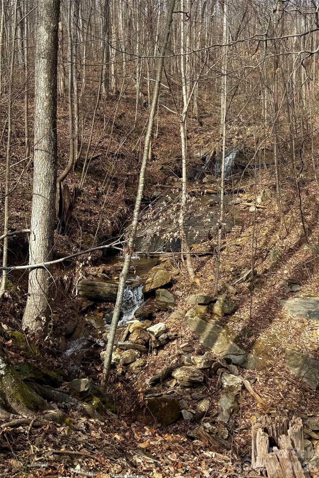 Lot at 99999 Chesterfield Drive, Mill Spring, photo 9 of 13