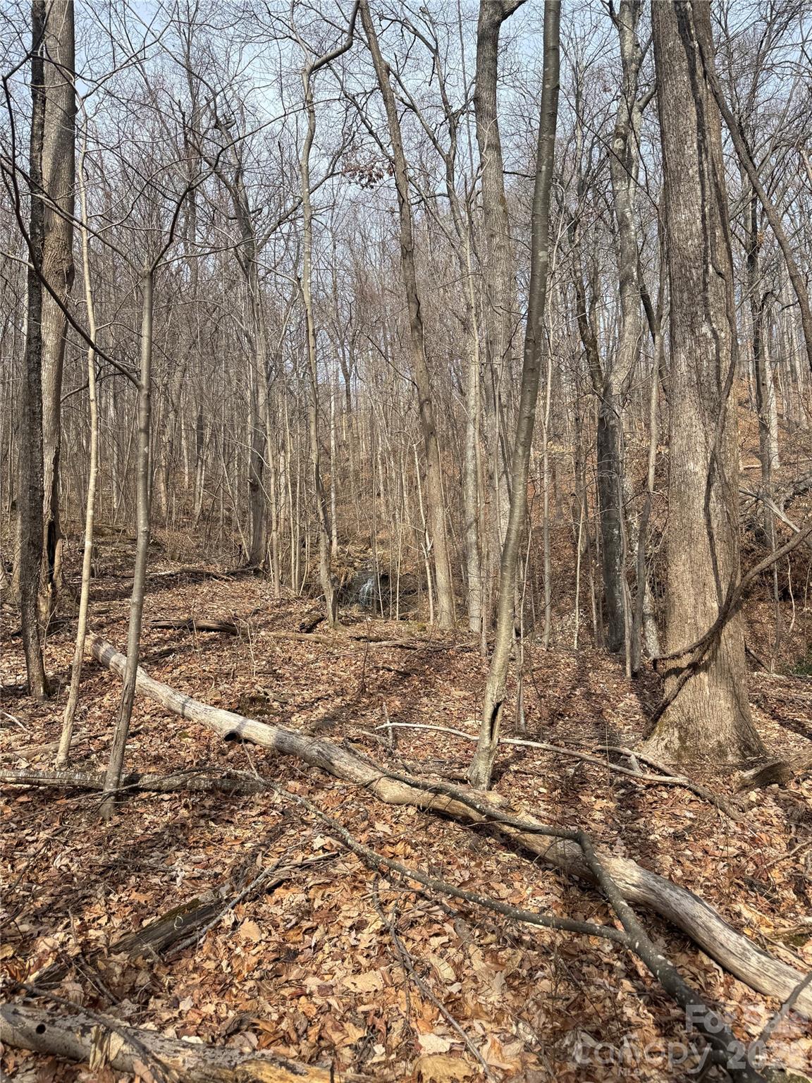 Lot at 99999 Chesterfield Drive, Mill Spring, photo 10 of 13