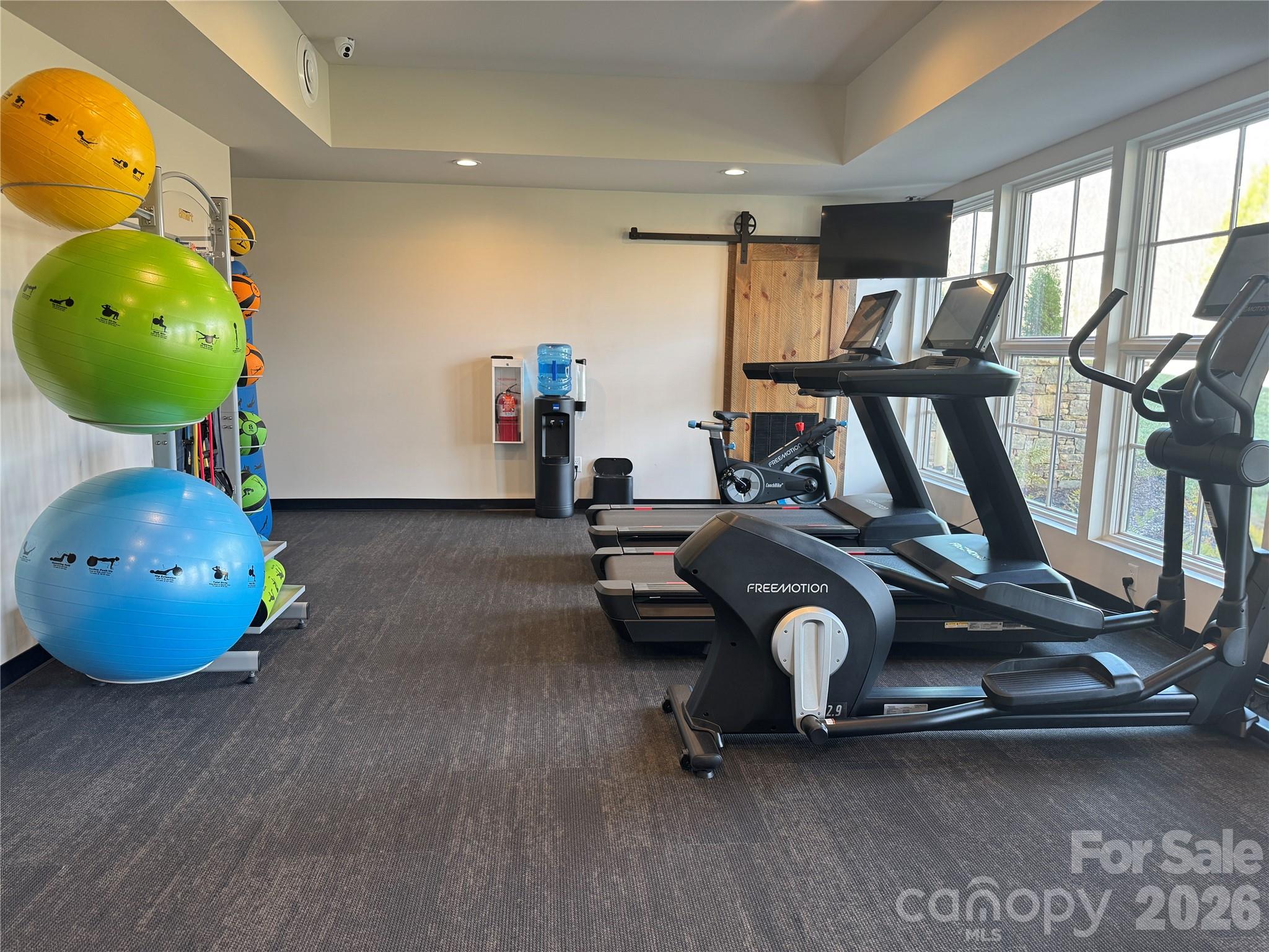 Work out area - Brights Creek Community - 99999 Chesterfield Drive, Mill Spring