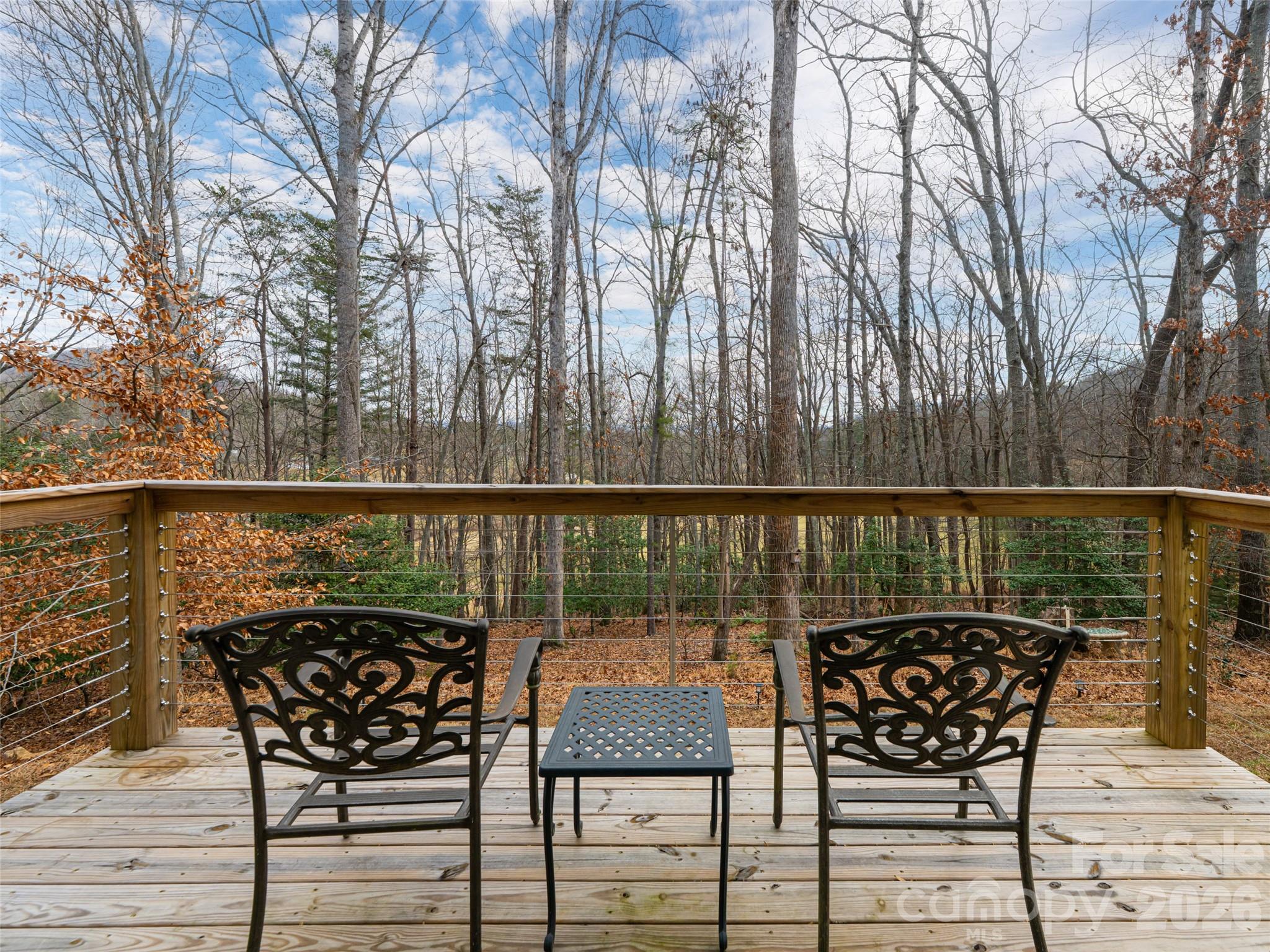 Deck off the Owner's Suite with winter views - 508 Avery Creek Road, Arden