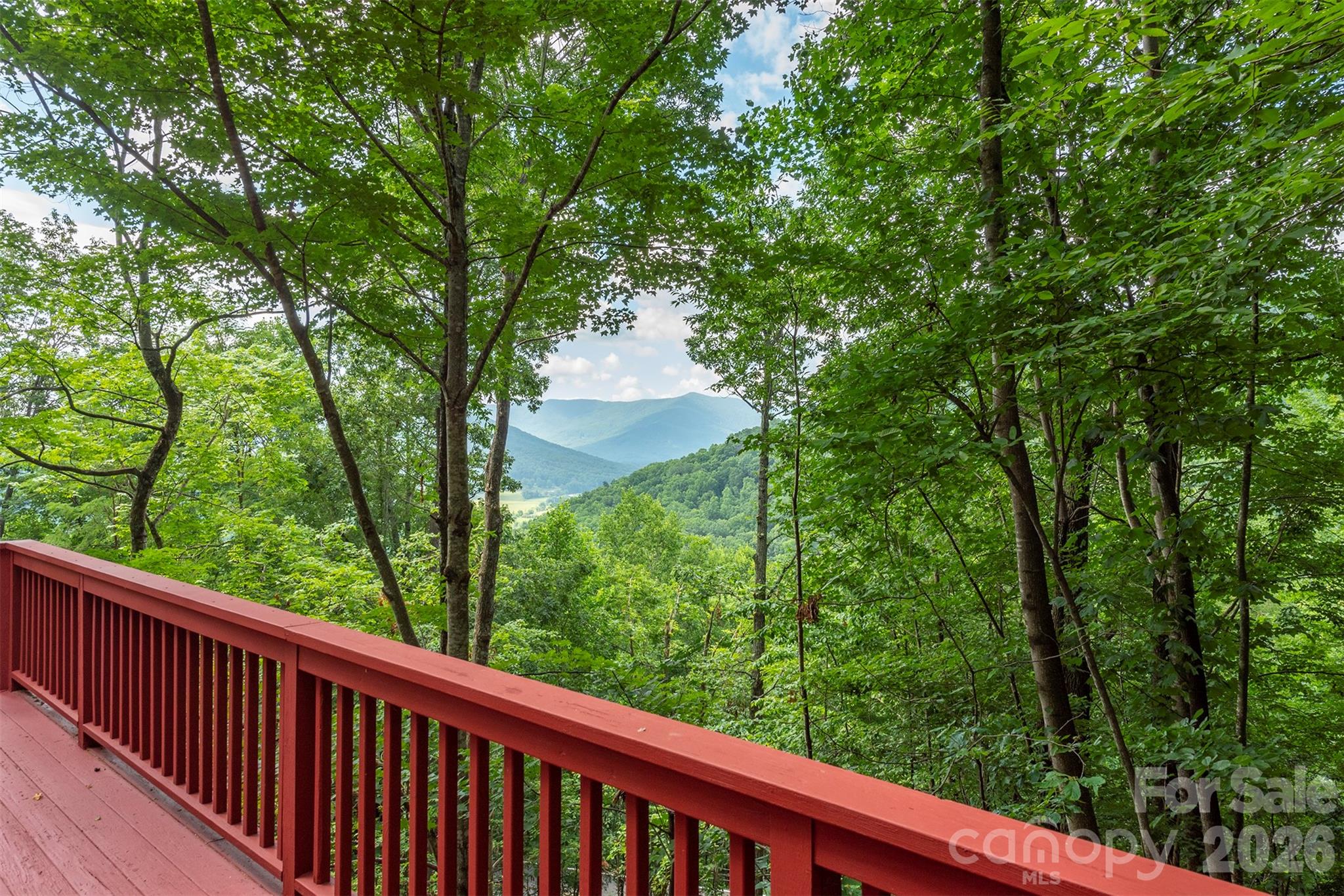 Southern view and exposure. - 7 Winding Poplar Road, Black Mountain