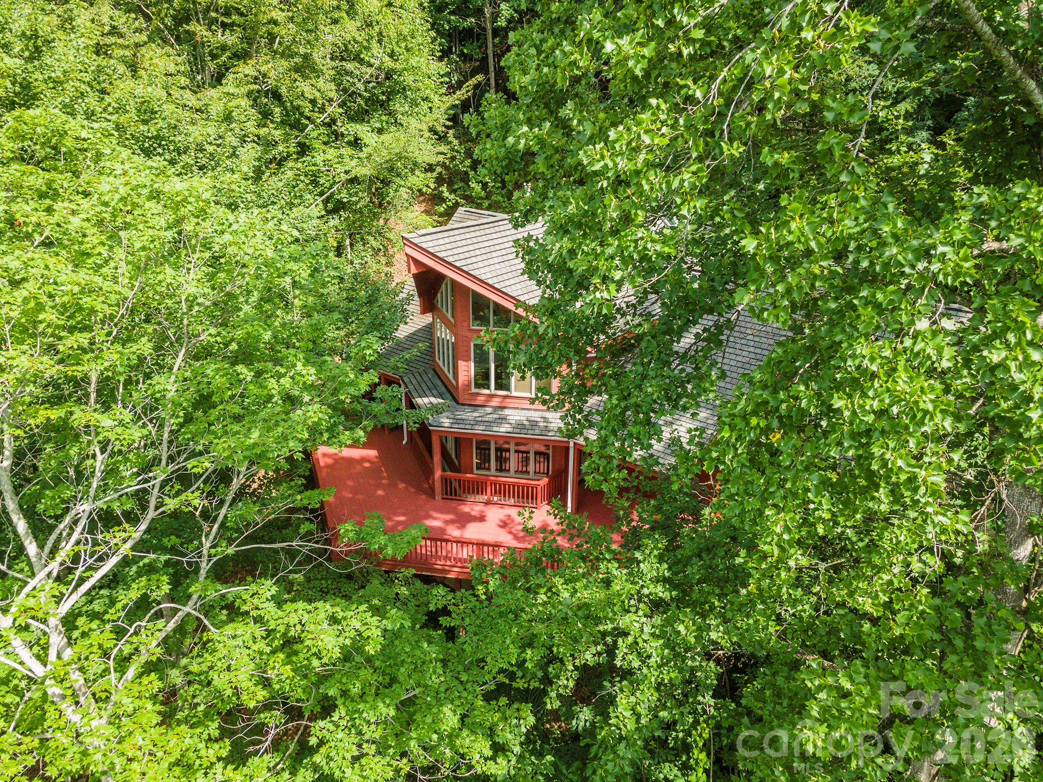 Natural environment - 7 Winding Poplar Road, Black Mountain