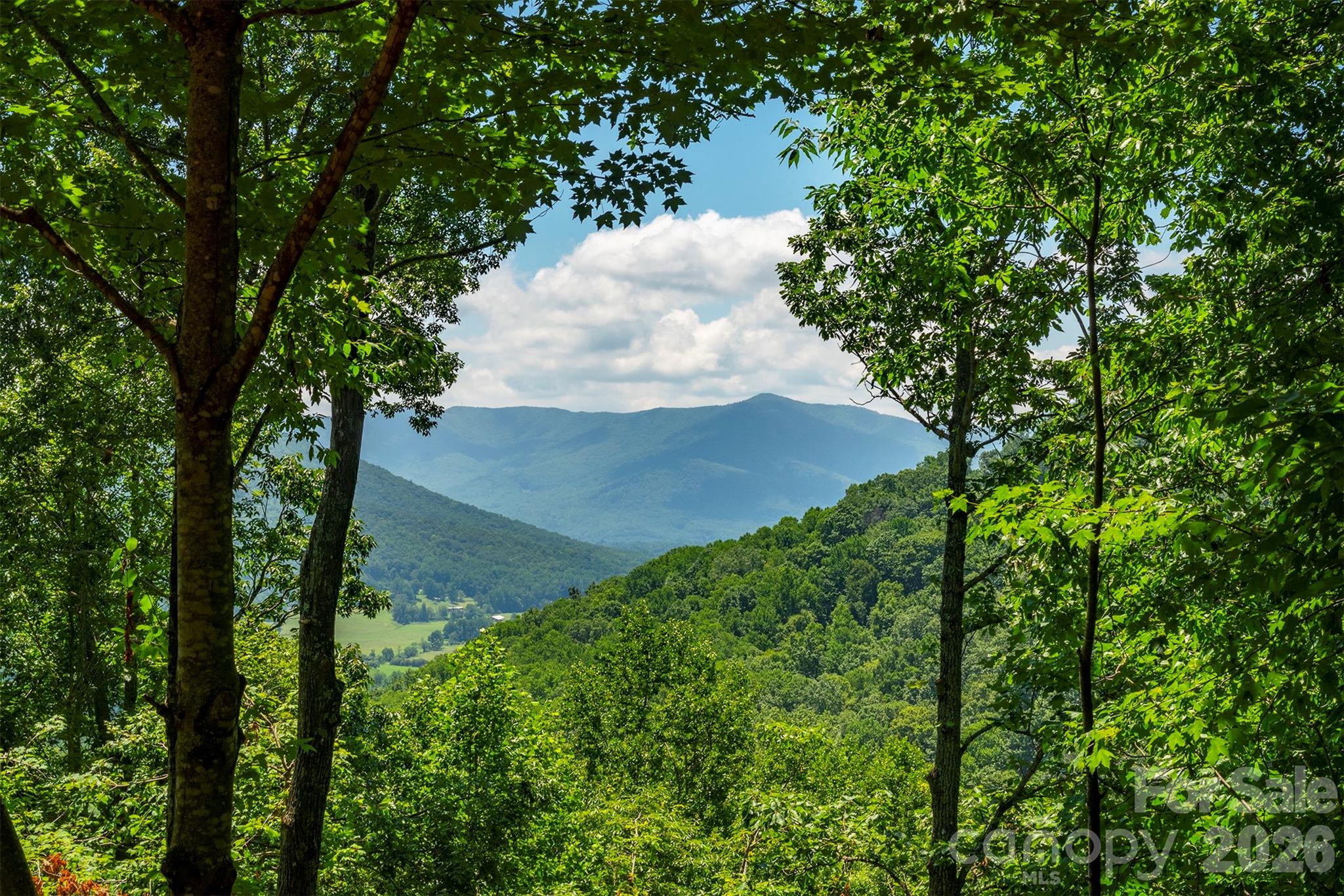 View from deck. - 7 Winding Poplar Road, Black Mountain