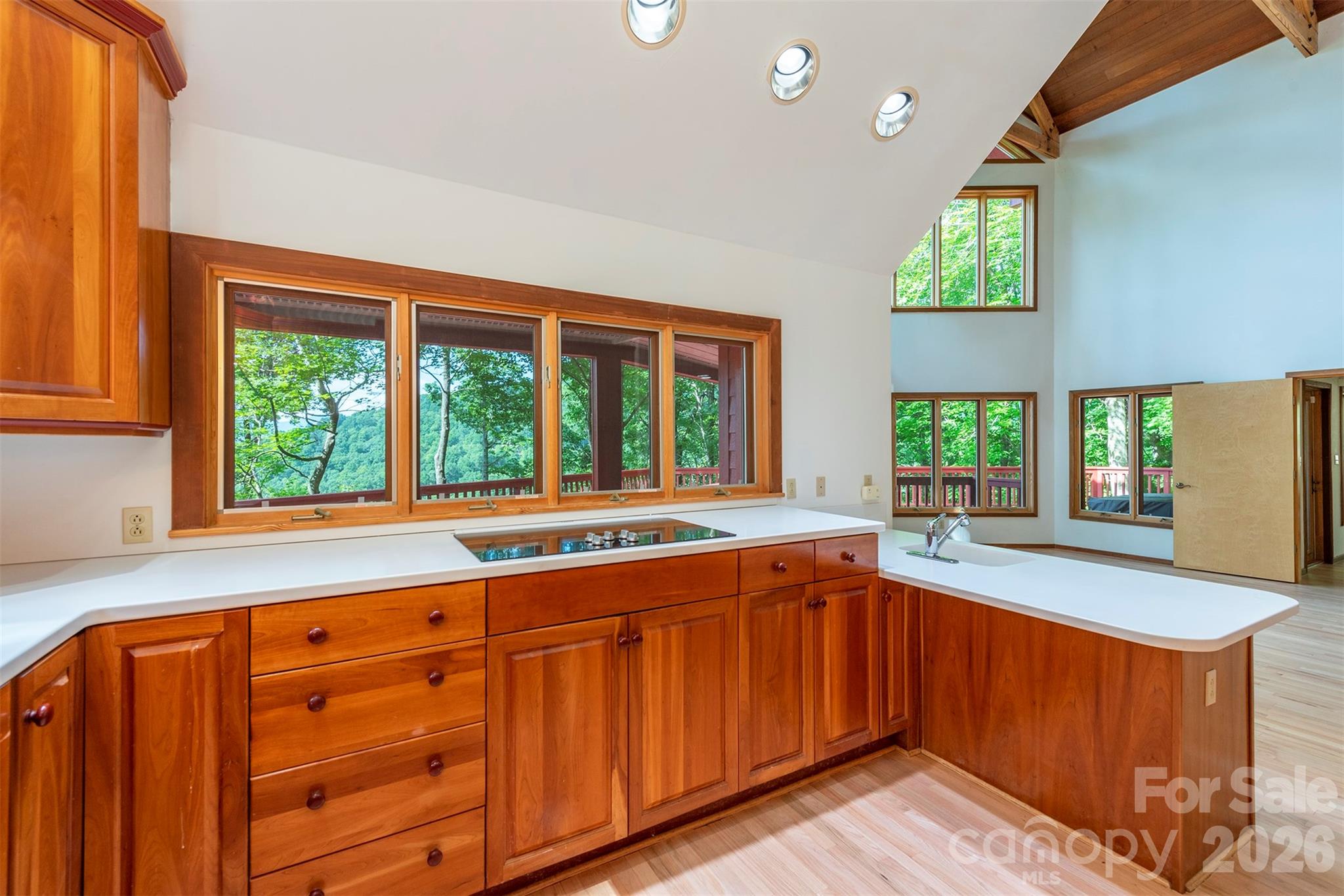 Downdraft cooktop - 7 Winding Poplar Road, Black Mountain