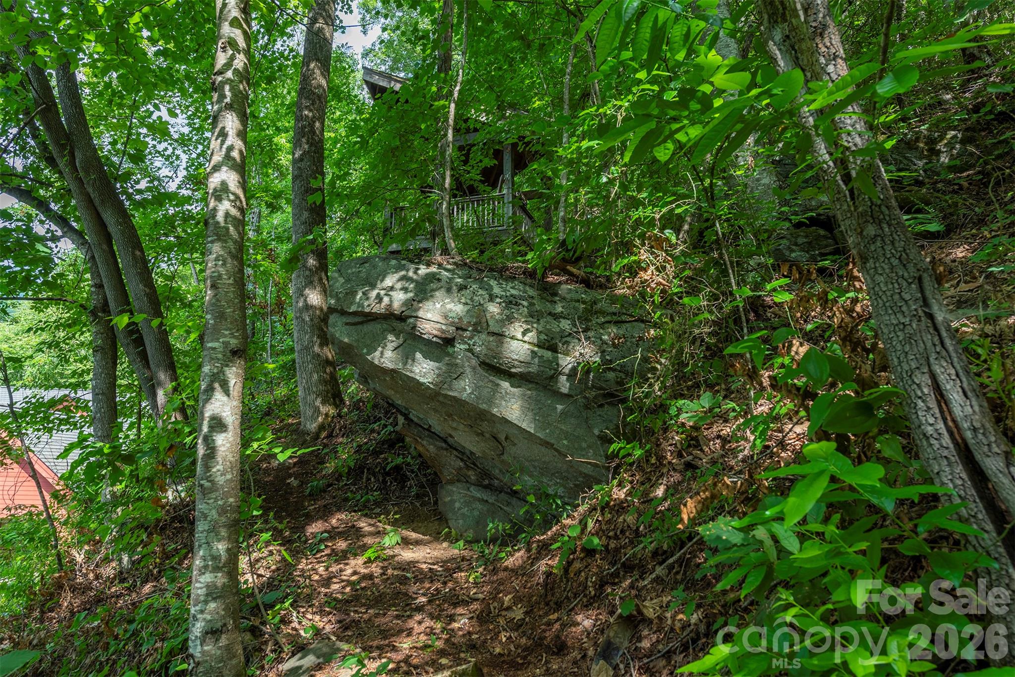Trail to Gazebo high above the home. - 7 Winding Poplar Road, Black Mountain